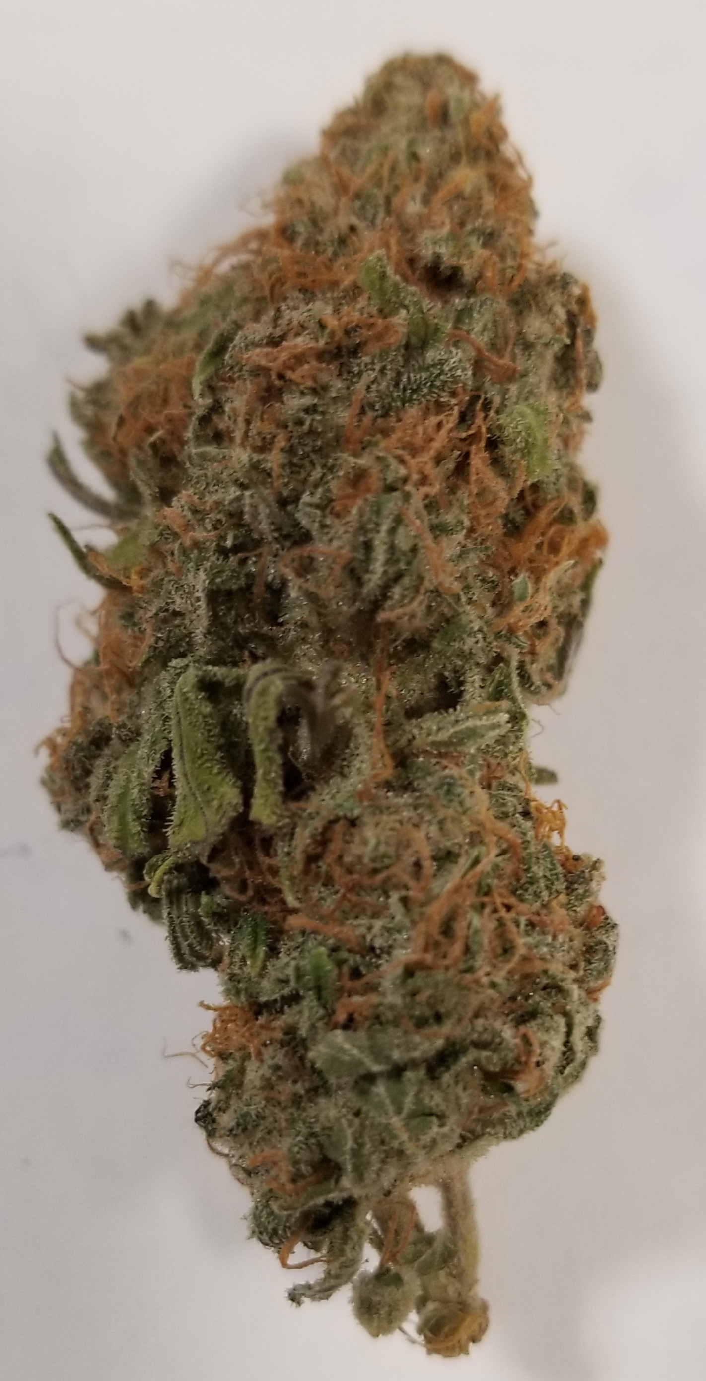 Blue Dream