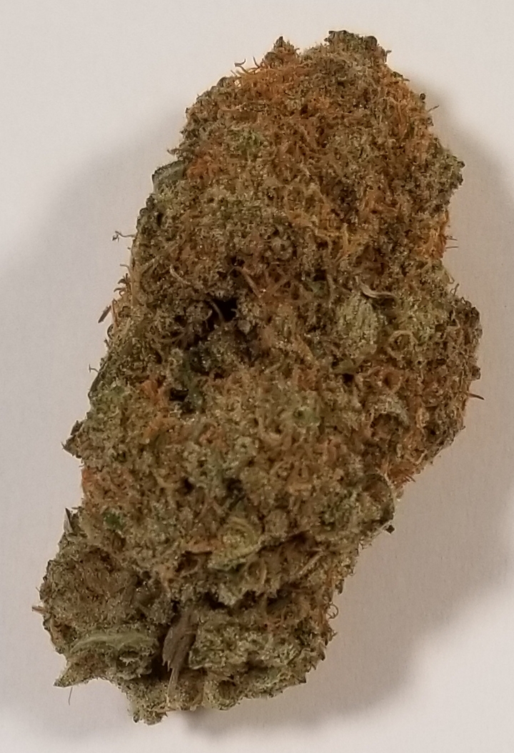 Sugar Cookie
