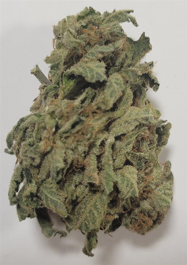 Jenny Kush THC 28%