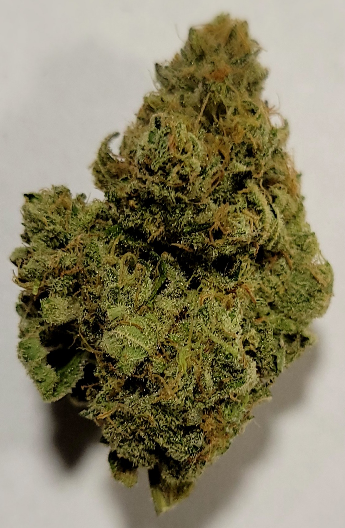Nightmare OG