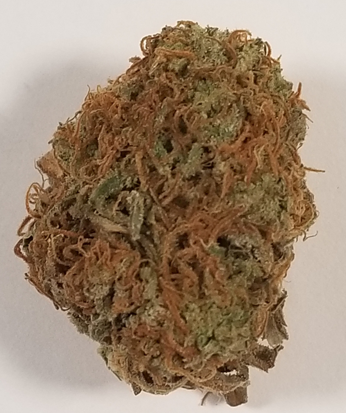 Sunset Sherbet