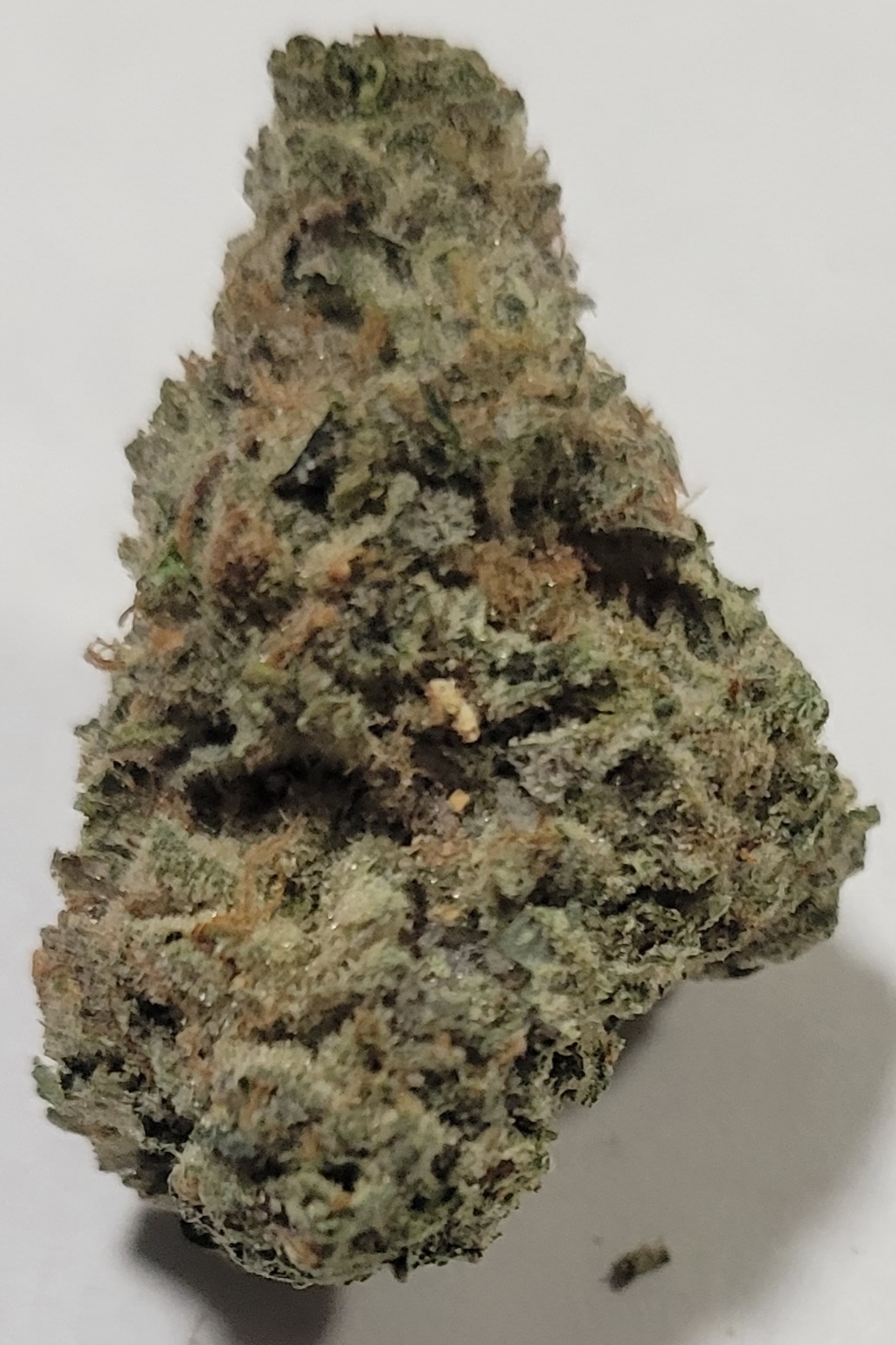 Tropical Cookies